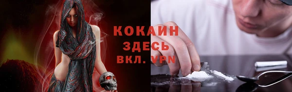 тгк Алексин