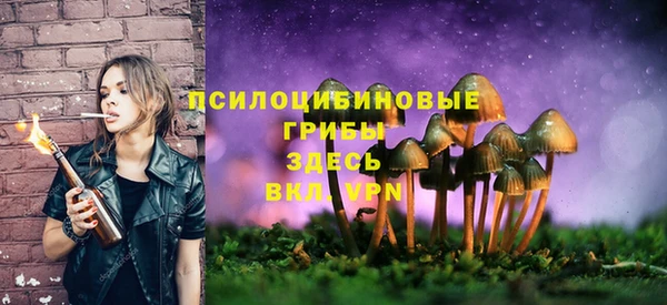 тгк Алексин