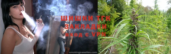 тгк Алексин