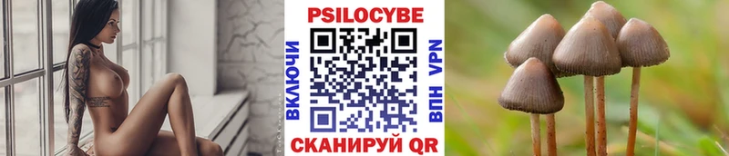Псилоцибиновые грибы Psilocybe Сысерть