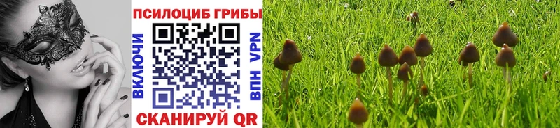нарко площадка как зайти  Сысерть  Галлюциногенные грибы Psilocybine cubensis 